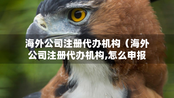 海外公司注册代办机构（海外公司注册代办机构,怎么申报）