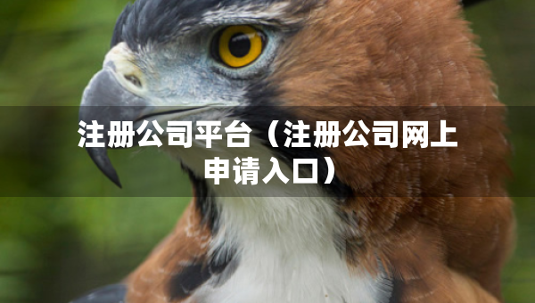 注册公司平台（注册公司网上申请入口）