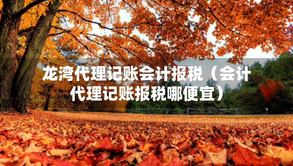 龙湾代理记账会计报税（会计代理记账报税哪便宜）