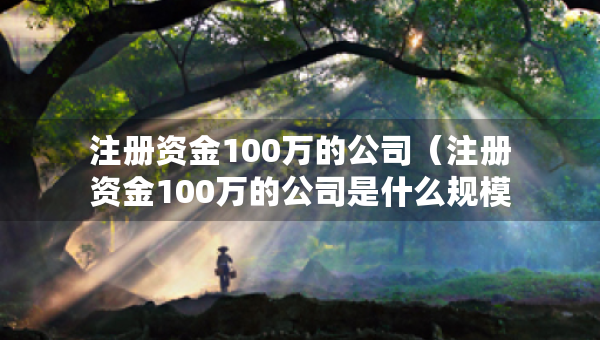 注册资金100万的公司（注册资金100万的公司是什么规模）