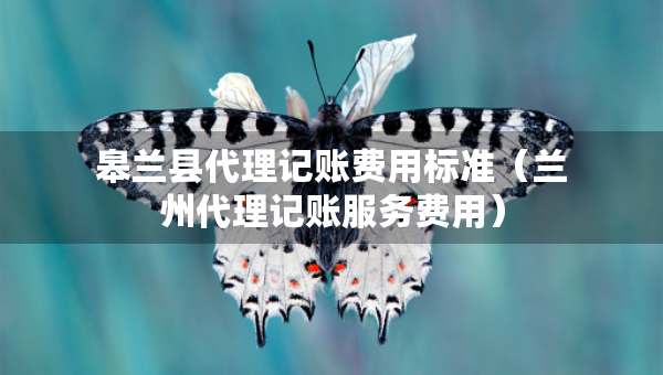 皋兰县代理记账费用标准（兰州代理记账服务费用）