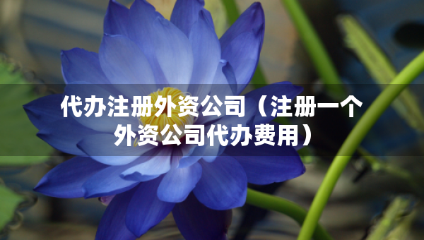 代办注册外资公司（注册一个外资公司代办费用）