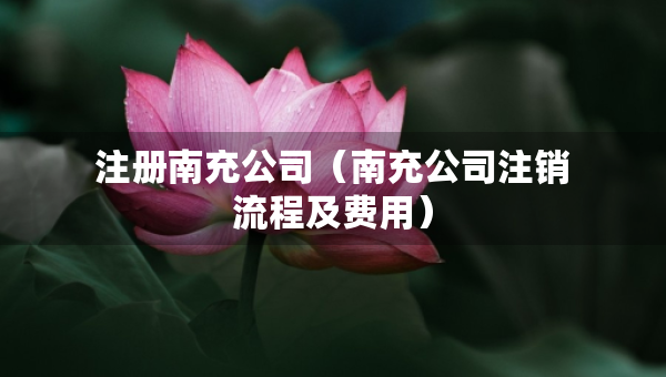 注册南充公司（南充公司注销流程及费用）