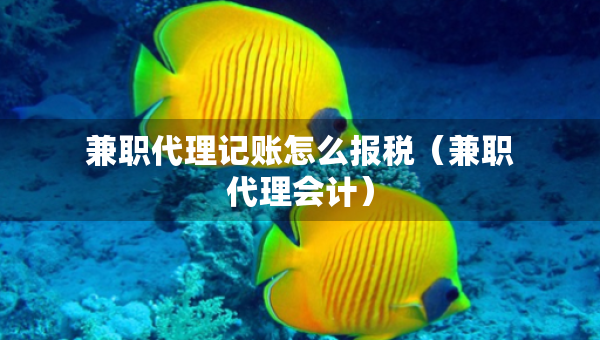 兼职代理记账怎么报税（兼职代理会计）