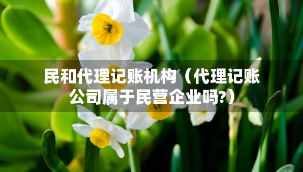 民和代理记账机构（代理记账公司属于民营企业吗?）