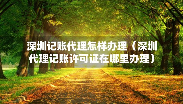 深圳记账代理怎样办理(深圳代理记账许可证在哪里办理) 深圳记账代理怎样办理(深圳代理记账许可证在哪里办理)