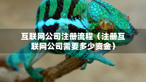 互联网公司注册流程（注册互联网公司需要多少资金）