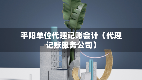 平阳单位代理记账会计（代理记账服务公司）