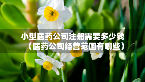 小型医药公司注册需要多少钱（医药公司经营范围有哪些）