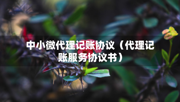 中小微代理记账协议（代理记账服务协议书）