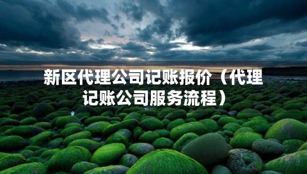 新区代理公司记账报价（代理记账公司服务流程）