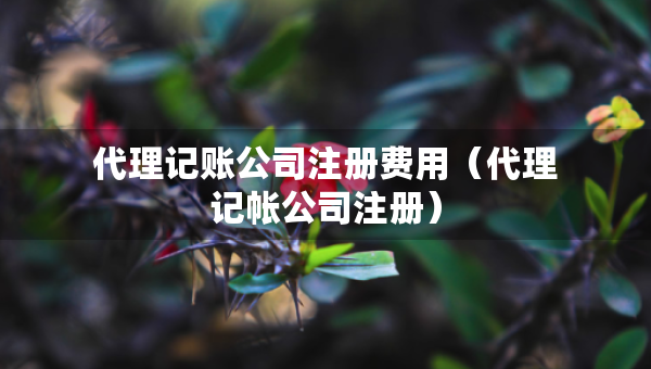代理记账公司注册费用（代理记帐公司注册）