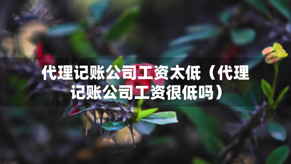 代理记账公司工资太低(代理记账公司工资很低吗) 代理记账公司工资太低(代理记账公司工资很低吗)