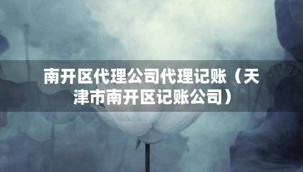 南开区代理公司代理记账（天津市南开区记账公司）