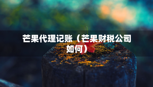芒果代理记账（芒果财税公司如何）