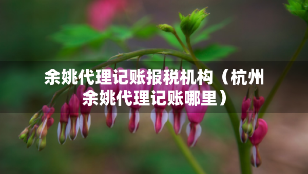 余姚代理记账报税机构（杭州余姚代理记账哪里）