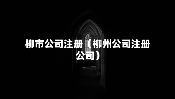 柳市公司注册（柳州公司注册公司）