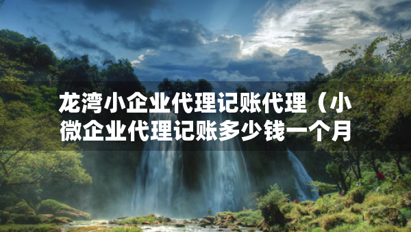 龙湾小企业代理记账代理（小微企业代理记账多少钱一个月）