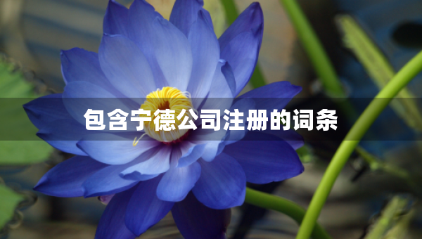 包含宁德公司注册的词条
