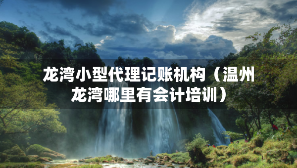 龙湾小型代理记账机构（温州龙湾哪里有会计培训）