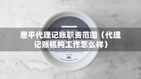 恩平代理记账职责范围（代理记账机构工作怎么样）