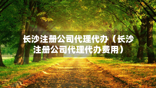 长沙注册公司代理代办（长沙注册公司代理代办费用）