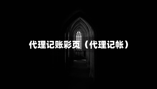 代理记账彩页（代理记帐）