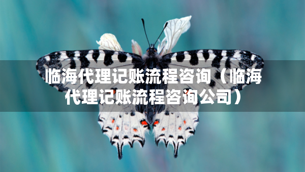 临海代理记账流程咨询（临海代理记账流程咨询公司）