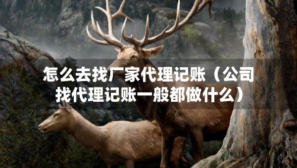 怎么去找厂家代理记账(公司找代理记账一般都做什么) 怎么去找厂家代理记账(公司找代理记账一般都做什么)