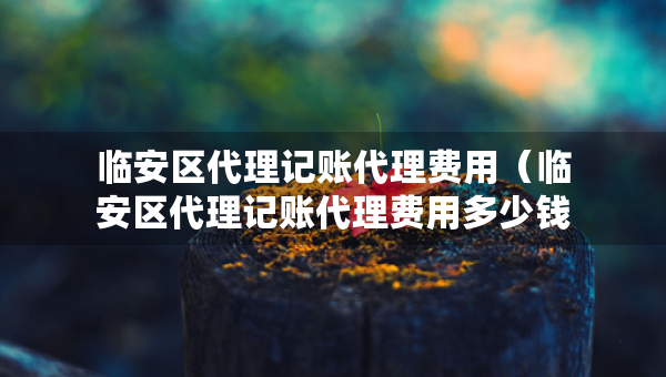 临安区代理记账代理费用（临安区代理记账代理费用多少钱）