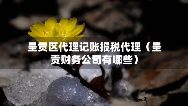 呈贡区代理记账报税代理（呈贡财务公司有哪些）