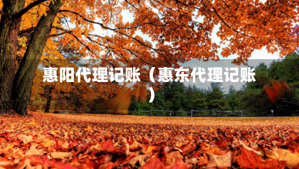 惠阳代理记账（惠东代理记账）