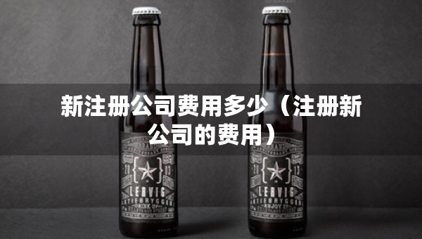 新注册公司费用多少（注册新公司的费用）