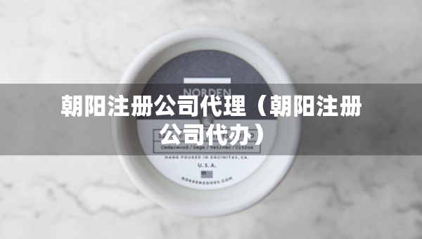 朝阳注册公司代理（朝阳注册公司代办）