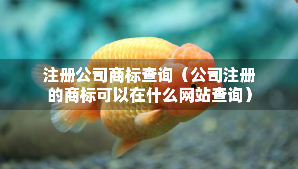注册公司商标查询（公司注册的商标可以在什么网站查询）