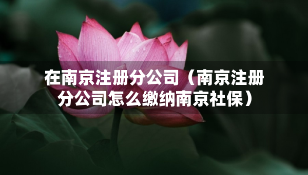 在南京注册分公司（南京注册分公司怎么缴纳南京社保）