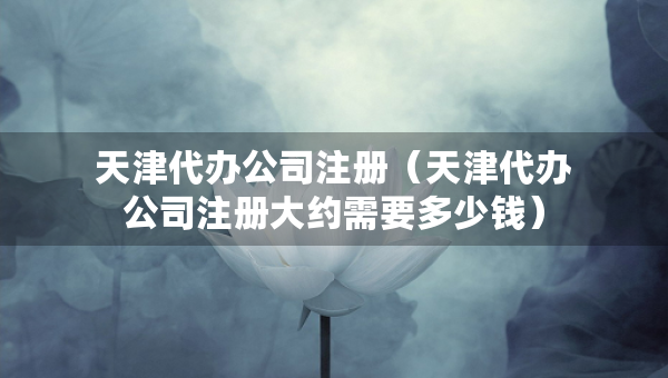 天津代办公司注册（天津代办公司注册大约需要多少钱）