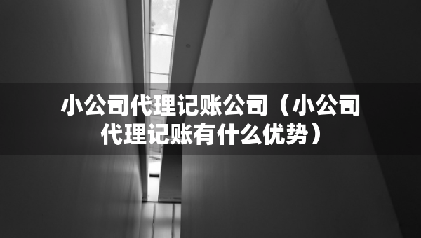 小公司代理记账公司（小公司代理记账有什么优势）