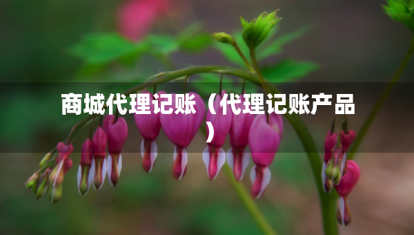 商城代理记账（代理记账产品）