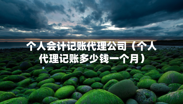 个人会计记账代理公司（个人代理记账多少钱一个月）