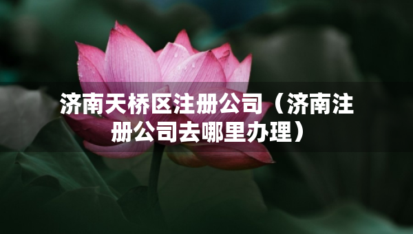 济南天桥区注册公司（济南注册公司去哪里办理）