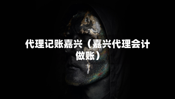 代理记账嘉兴（嘉兴代理会计做账）