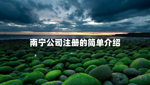 南宁公司注册的简单介绍