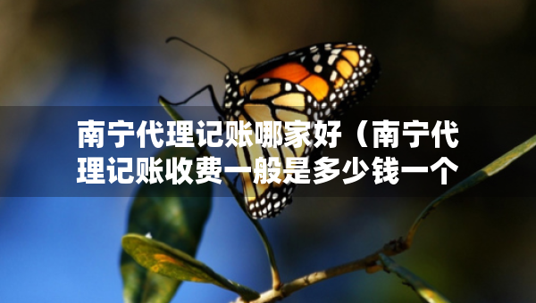 南宁代理记账哪家好（南宁代理记账收费一般是多少钱一个月?）