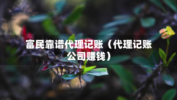 富民靠谱代理记账（代理记账公司赚钱）