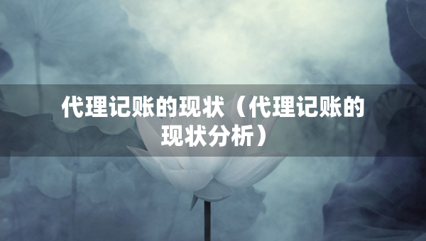 代理记账的现状（代理记账的现状分析）