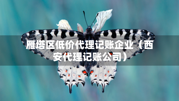 雁塔区低价代理记账企业（西安代理记账公司）