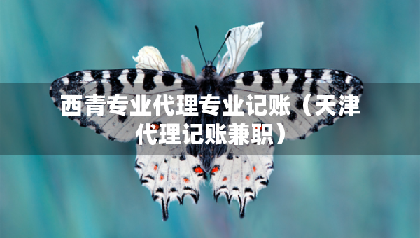 西青专业代理专业记账（天津代理记账兼职）