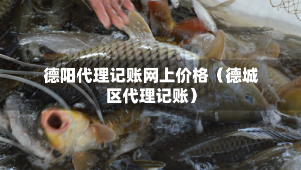 德阳代理记账网上价格(德城区代理记账) 德阳代理记账网上价格(德城区代理记账)