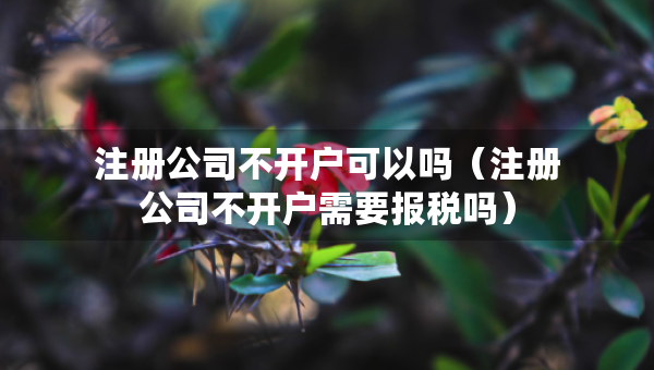 注册公司不开户可以吗（注册公司不开户需要报税吗）